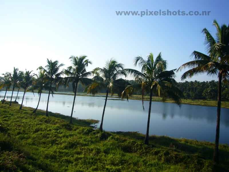 kerala landscape scenary
